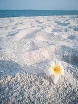 TheÃ¢â¬â¹ beachÃ¢â¬â¹ inÃ¢â¬â¹ rainy sesion photo